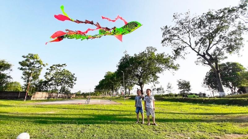 Cây xà cừ